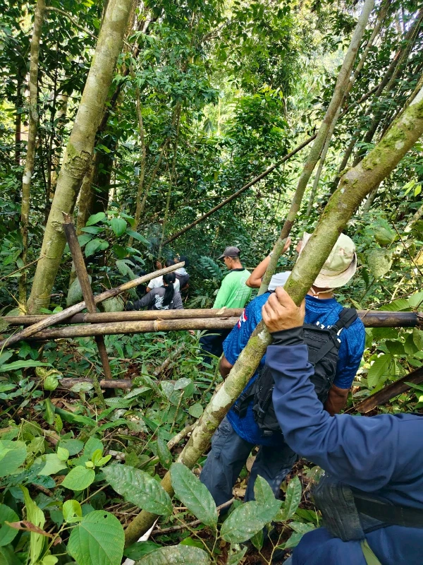 catalogs_file_202_12_1_132128.webp