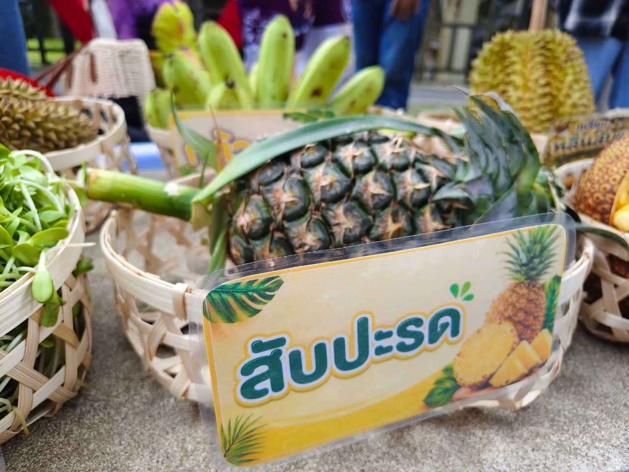 catalogs_file_212_31_5_984490.webp