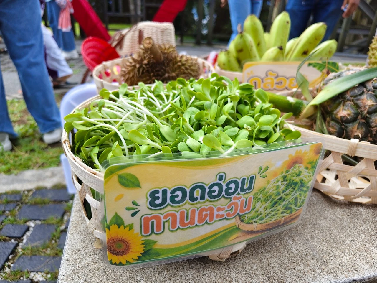 catalogs_file_212_31_5_984914.webp