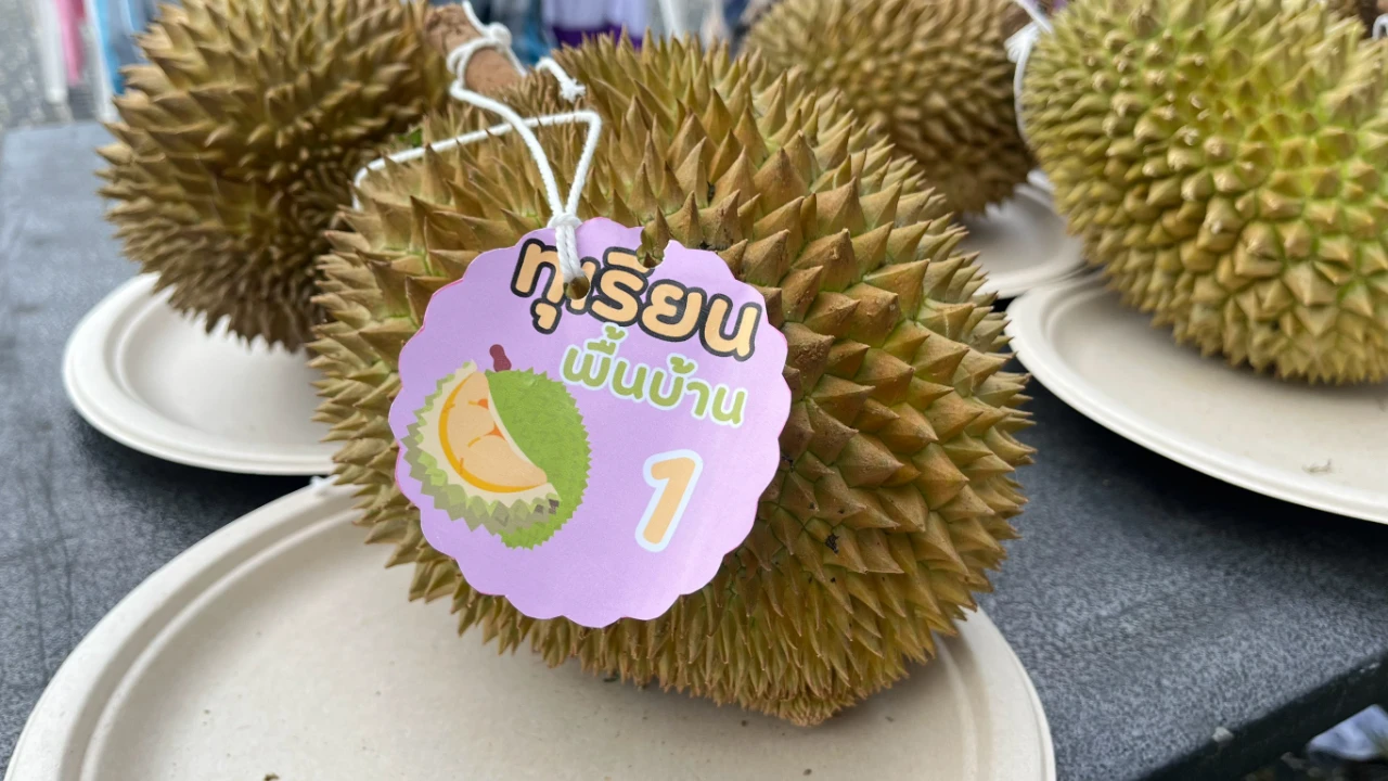 catalogs_file_212_31_5_985309.webp